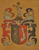 Staden 8